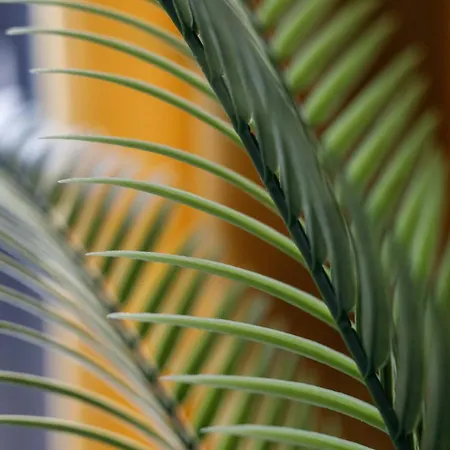 Golden - Stylish Loft - Great Location &jana Pawla33 * Breslavia